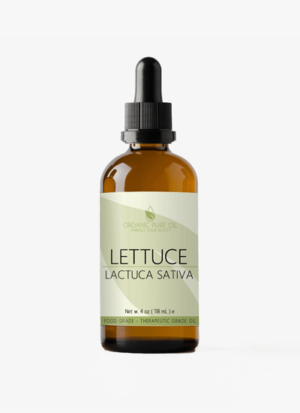 lettuce seed oil benefits