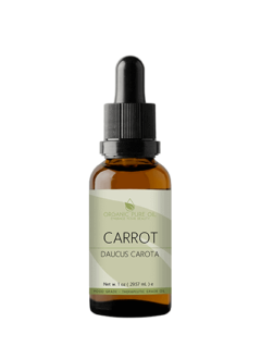 Carrot Seed Oil for Skin