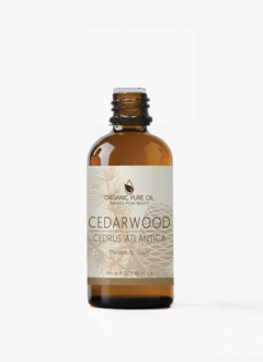 Cedarwood Essential Oil surrounded by cedar branches