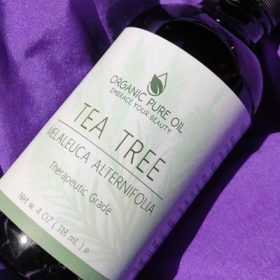 qualities of Tea Tree Essential Oil