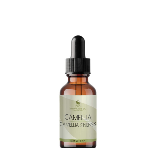 Camellia Seed Oil - Image 2