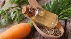 Organic Pure Oil Carrot Seed Oil, one of many trending beauty products, can be used for brighter and even skin tone