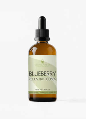 blueberry Seed carrier oil