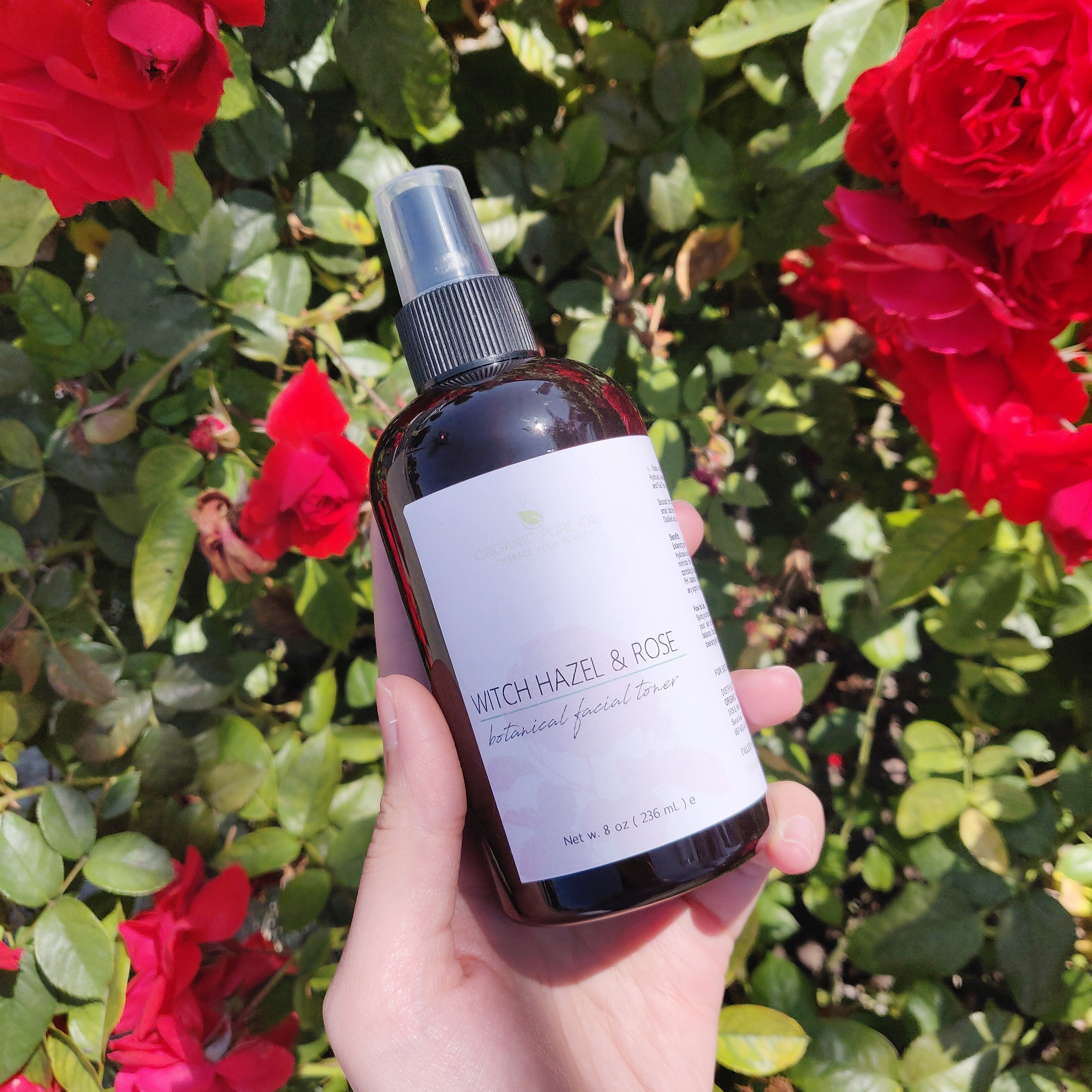Witch Hazel Rose Toner for Skin